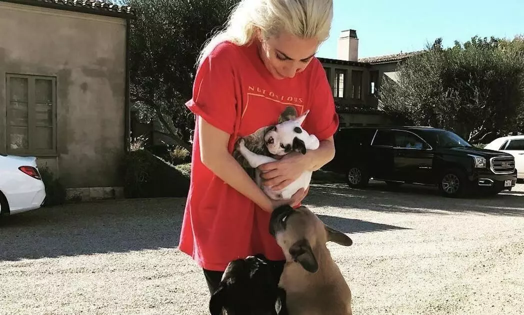 Safely Reunited US Cops On Lady Gaga