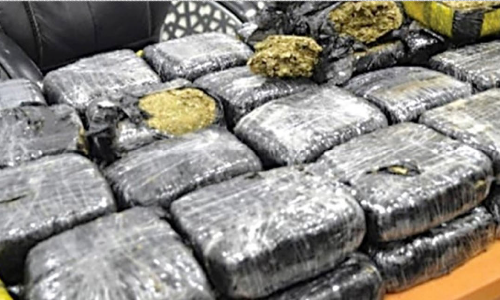 മ​യ​ക്കു​മ​രു​ന്ന് ക​ണ്ടെ​ത്താ​ൻ തു​റ​മു​ഖ​ങ്ങ​ളി​ൽ റാ​സ് കാ​ർ​ഗോ പ​ദ്ധ​തി