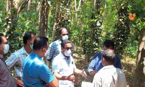 പാട്ടക്കാലാവധി കഴിഞ്ഞ ആദിവാസി ഭൂമി ഒരാഴ്ചക്കകം ഒഴിയണമെന്ന്​ ആര്‍.ഡി.ഒ
