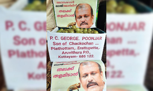 തലക്ക് നെല്ലിക്കതളം ഇടണം; പി.സി. ജോർജിന് നെല്ലിക്ക അയച്ച്​ യൂത്ത് കോൺഗ്രസ്​