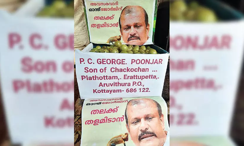 തലക്ക് നെല്ലിക്കതളം ഇടണം; പി.സി. ജോർജിന് നെല്ലിക്ക അയച്ച്​ യൂത്ത് കോൺഗ്രസ്​