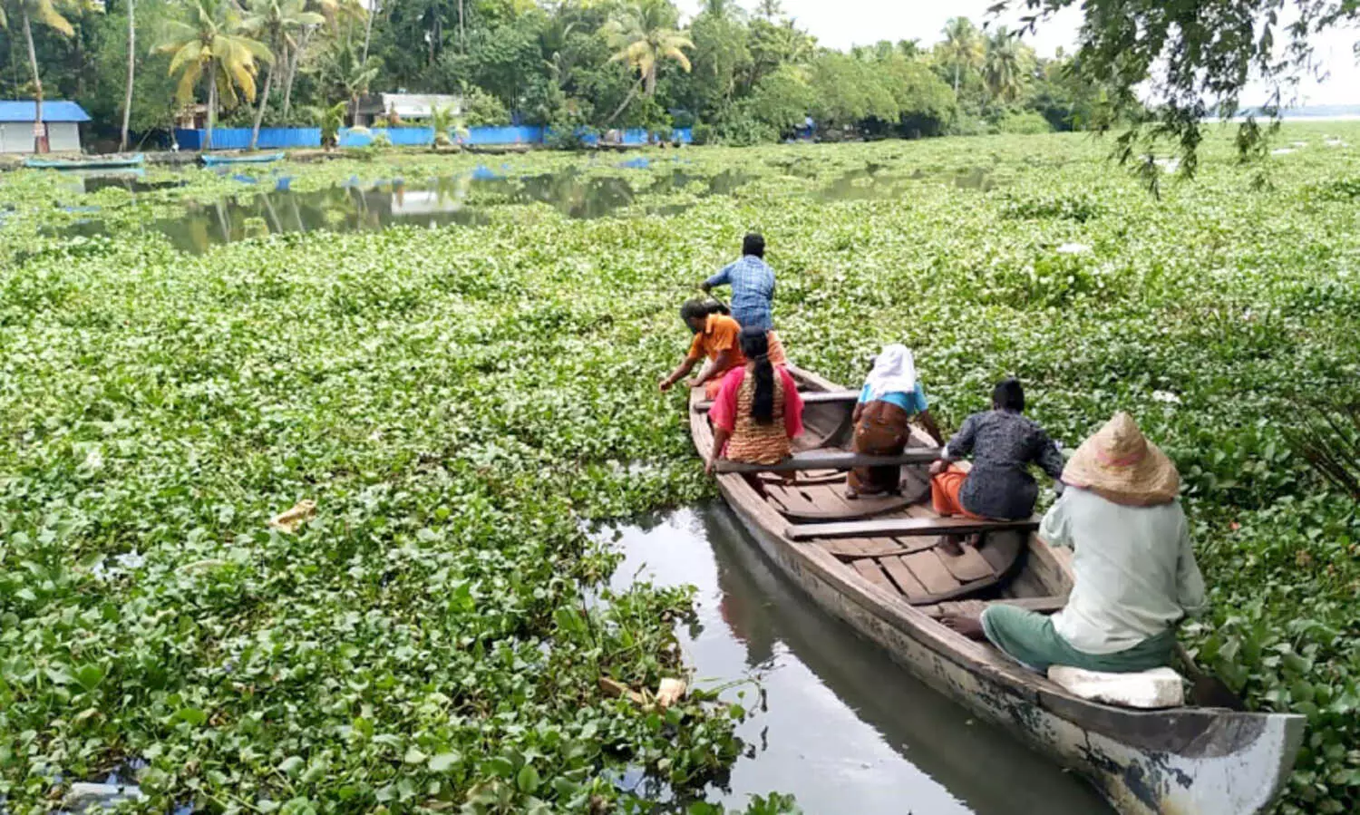 ഉ​ൾ​നാ​ട​ൻ ജ​ല​സ​ഞ്ചാ​രം: പാ​ണാ​വ​ള്ളി, അ​രൂ​ക്കു​റ്റി പ​ഞ്ചാ​യ​ത്തു​ക​ൾ പ്ര​തീ​ക്ഷ​യി​ൽ​