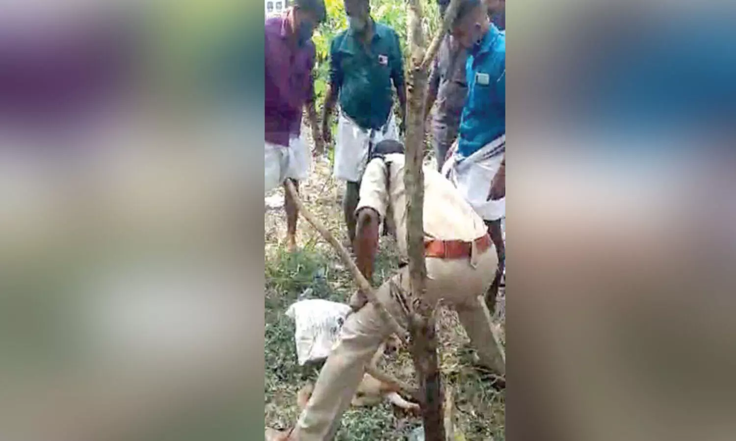 fire brigade rescue operation for street dog