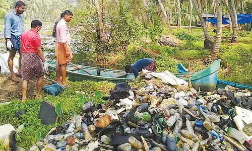 waste in mambuzha