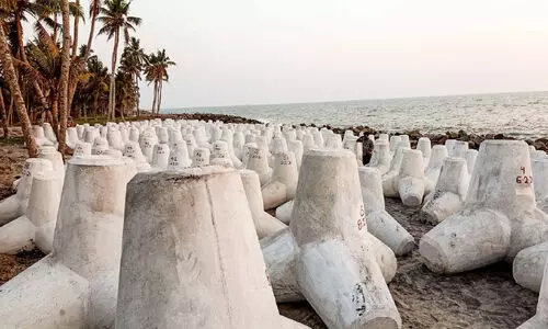 arattupuzha Tetrapod