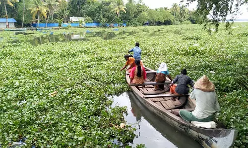 ഉ​ൾ​നാ​ട​ൻ ജ​ല​സ​ഞ്ചാ​രം: പാ​ണാ​വ​ള്ളി, അ​രൂ​ക്കു​റ്റി പ​ഞ്ചാ​യ​ത്തു​ക​ൾ പ്ര​തീ​ക്ഷ​യി​ൽ​