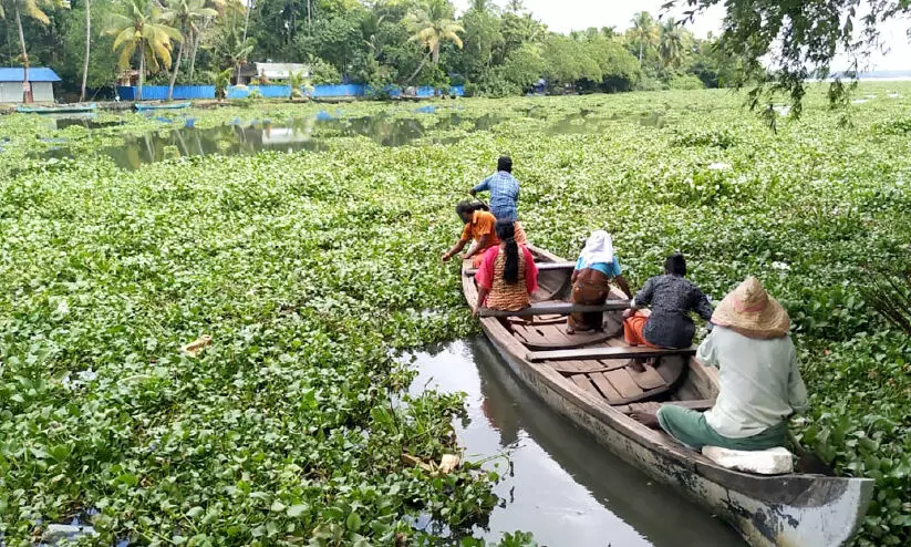 ഉ​ൾ​നാ​ട​ൻ ജ​ല​സ​ഞ്ചാ​രം: പാ​ണാ​വ​ള്ളി, അ​രൂ​ക്കു​റ്റി പ​ഞ്ചാ​യ​ത്തു​ക​ൾ പ്ര​തീ​ക്ഷ​യി​ൽ​