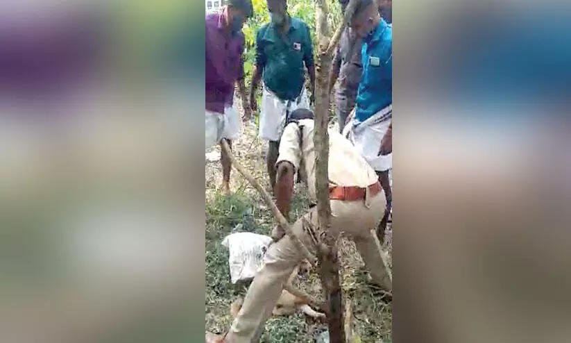 fire brigade rescue operation for street dog