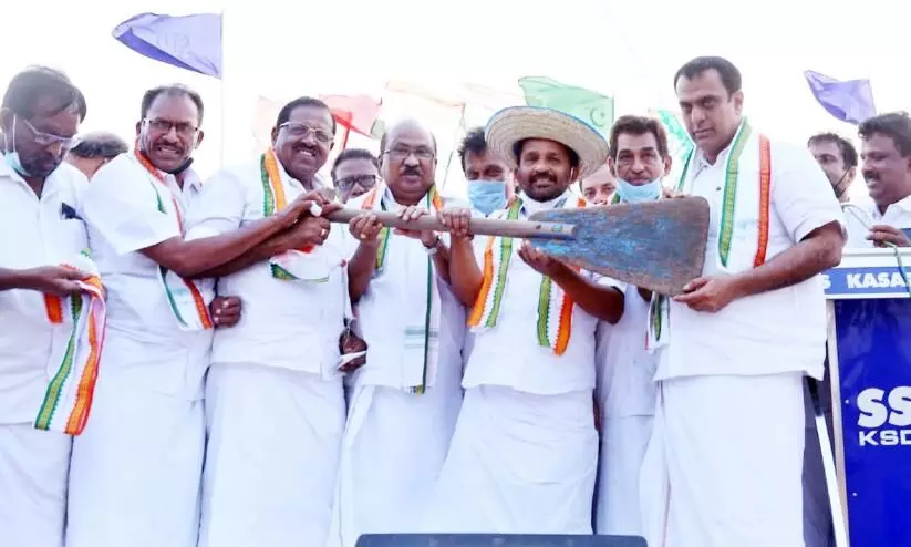 udf coastel udf coastel