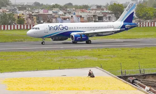indigo flight