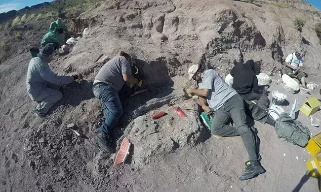 14 കോടി വർഷം പഴക്കമുളള ദിനോസർ ഫോസിൽ അർജന്‍റീനയിൽ കണ്ടെത്തി