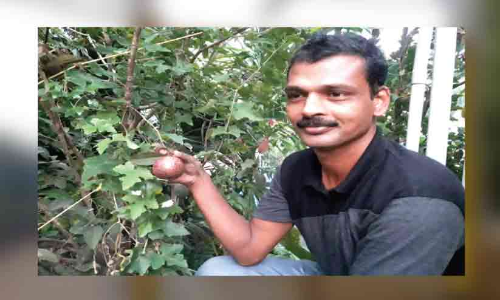 ആ​റ് സെൻറി​ൽ 60 ഇ​നം ഫ​ല​വൃ​ക്ഷ​ത്തൈ​ക​ൾ ന​ട്ടു​പി​ടി​പ്പി​ച്ച് അ​ധ്യാ​പ​ക​ൻ