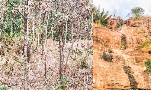 ചൂട്​ ഹൈ റേഞ്ചിൽ