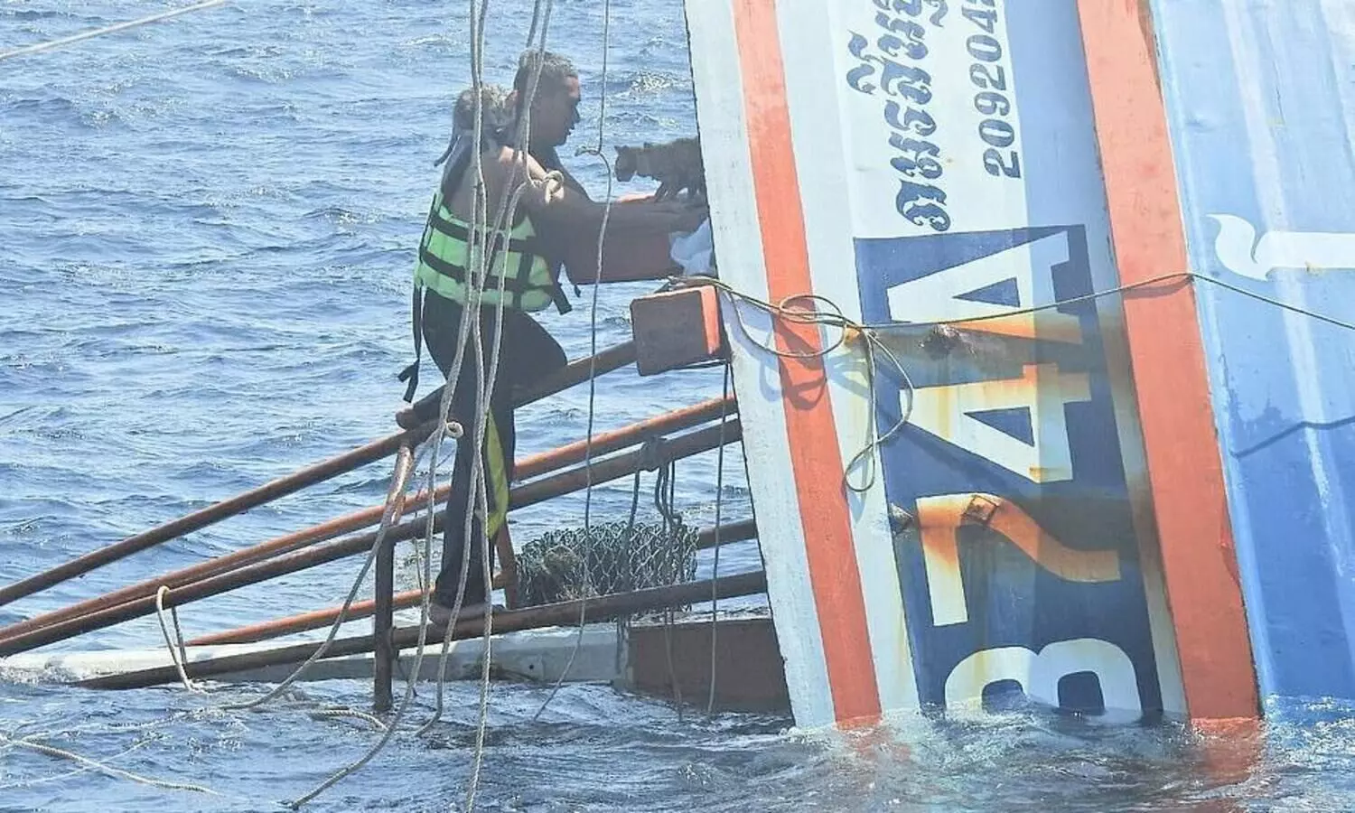 Thai navy rescue four cats from burning ship
