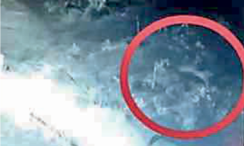 പുലിയെ കണ്ടെന്ന്; പൂളമണ്ണ പ്രദേശം ഭീതിയിൽ