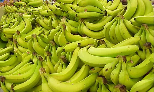 nendran banana