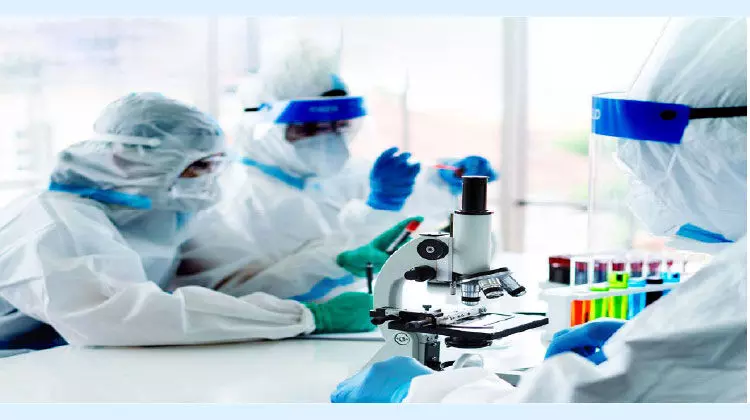 പി.സി.ആറിന്​ ബദൽ: പുതിയ പരിശോധനരീതി വികസിപ്പിച്ചെടുത്ത്​ ഒമാനി ഗവേഷകർ