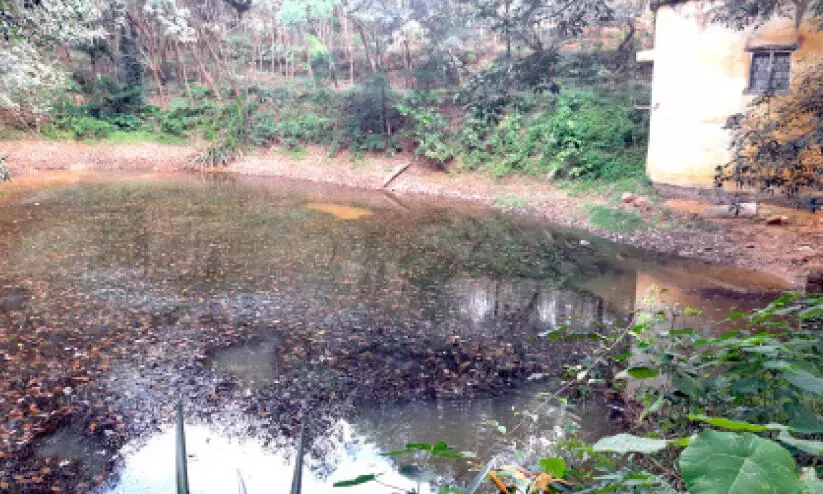 waste water problem in pond