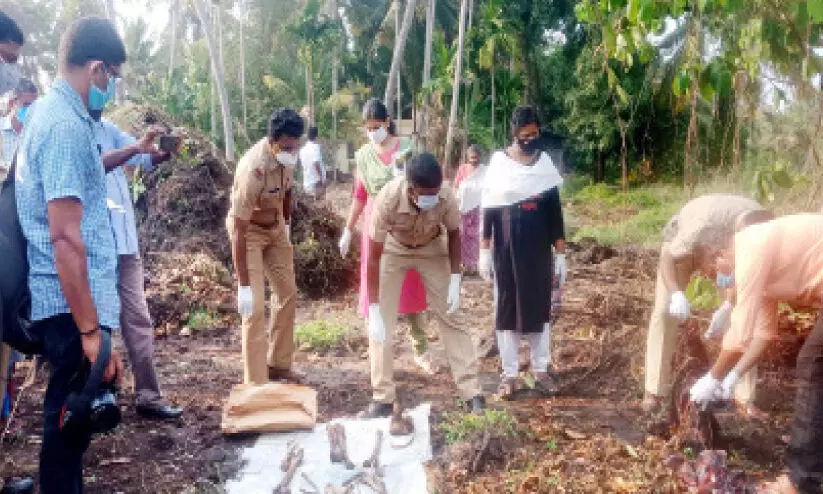 skelton found in klappana