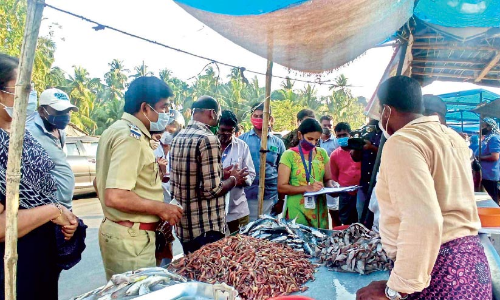 പൊന്നാനി മാർക്കറ്റിൽ നിന്ന്​ ഫോർമാലിൻ ചേർത്ത മത്സ്യം പിടികൂടി