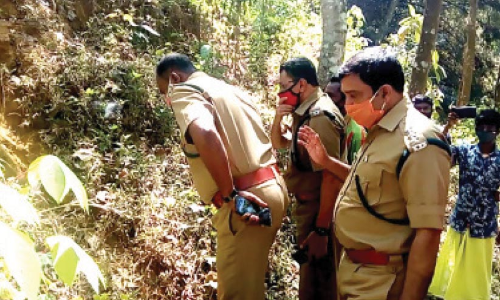 കിളിമാനൂരിന് സമീപം പുലിയിറങ്ങിയെന്ന് അഭ്യൂഹം