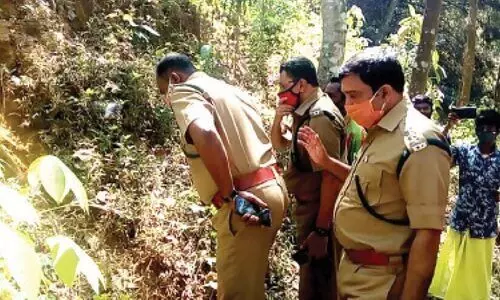 കിളിമാനൂരിന് സമീപം പുലിയിറങ്ങിയെന്ന് അഭ്യൂഹം