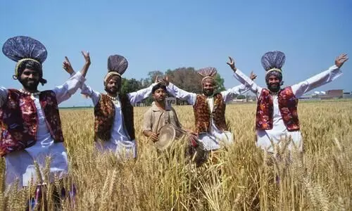 punjab