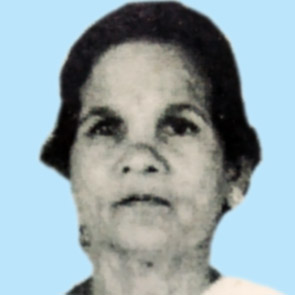 നാരായണി