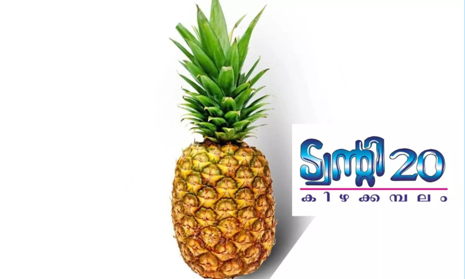 ട്വൻറി20ക്ക് പൈനാപ്പിൾ ചിഹ്നം