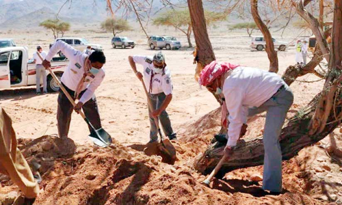 പ​രി​സ്ഥി​തി സം​ര​ക്ഷ​ണ പ​ദ്ധ​തി​യി​ൽ സ്‌​കൗ​ട്ട് പ്ര​വ​ർ​ത്ത​ക​രു​ടെ സേ​വ​നം ശ്ര​ദ്ധേ​യ​മാ​കു​ന്നു