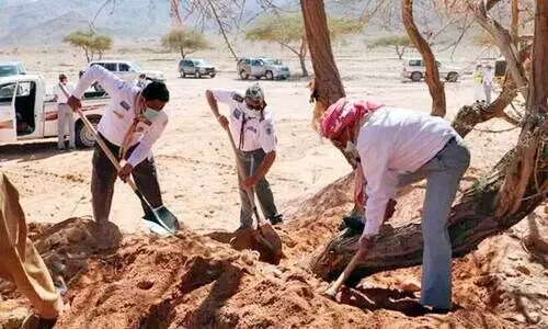 പ​രി​സ്ഥി​തി സം​ര​ക്ഷ​ണ പ​ദ്ധ​തി​യി​ൽ സ്‌​കൗ​ട്ട് പ്ര​വ​ർ​ത്ത​ക​രു​ടെ സേ​വ​നം ശ്ര​ദ്ധേ​യ​മാ​കു​ന്നു