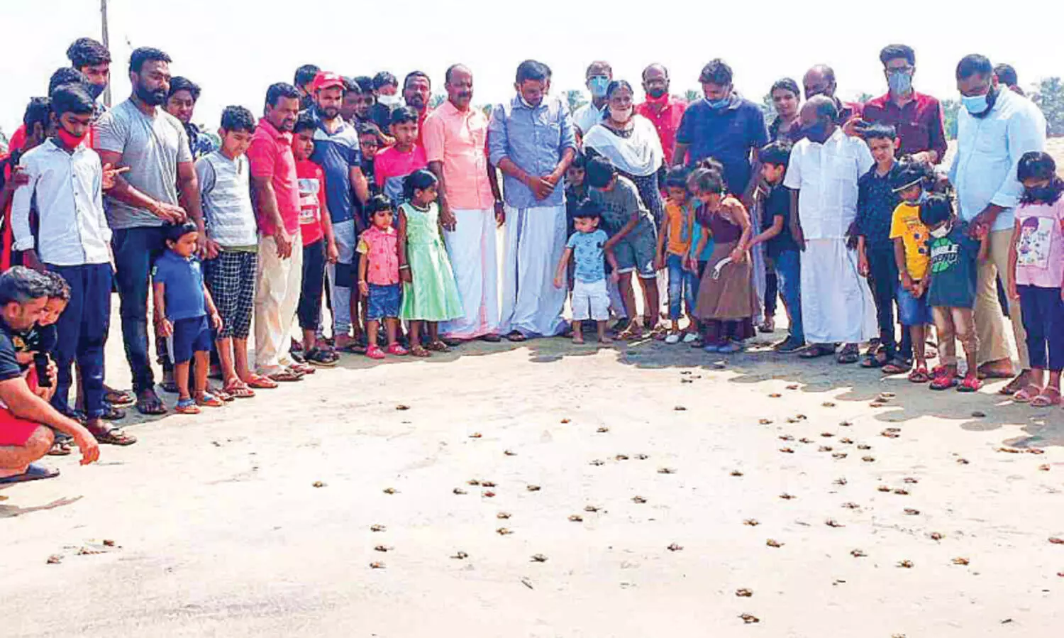 104 കടലാമ മുട്ടകൾ വി​രി​ഞ്ഞു; കു​ഞ്ഞു​ങ്ങ​ളെ   ക​ട​ലി​ലി​റ​ക്കി