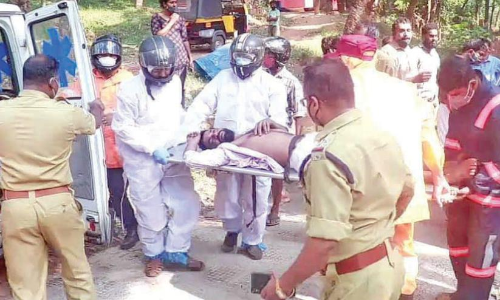 കല്ലുവയലിൽ തേനീച്ചക്കുത്തേറ്റ് അഞ്ചുപേർക്ക് പരിക്ക്