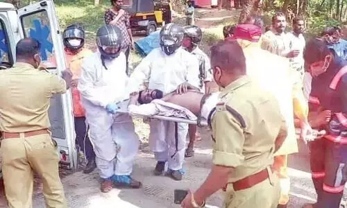 കല്ലുവയലിൽ തേനീച്ചക്കുത്തേറ്റ് അഞ്ചുപേർക്ക് പരിക്ക്