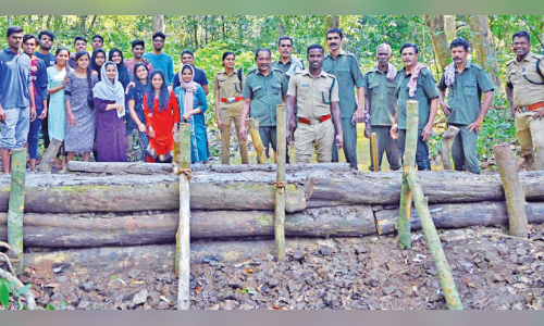 വന്യജീവികളുടെ ദാഹമകറ്റാൻ തടയണ നിർമിച്ച് വനപാലകർ