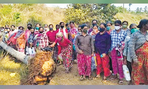 റെ​യി​ൽ​വേ ട്രാ​ക്കി​ൽ പൊ​ട്ടി​വീ​ണ തെ​ങ്ങ് തൊ​ഴി​ലു​റ​പ്പു​കാ​ർ ത​ള്ളി​മാ​റ്റി;  തൊഴിലാളികളുടെ മനക്കരുത്തിൽ ഒഴിവായത് വൻ ദുരന്തം