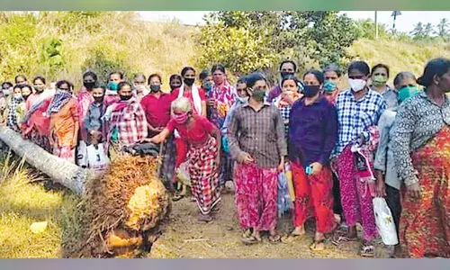 റെ​യി​ൽ​വേ ട്രാ​ക്കി​ൽ പൊ​ട്ടി​വീ​ണ തെ​ങ്ങ് തൊ​ഴി​ലു​റ​പ്പു​കാ​ർ ത​ള്ളി​മാ​റ്റി;  തൊഴിലാളികളുടെ മനക്കരുത്തിൽ ഒഴിവായത് വൻ ദുരന്തം