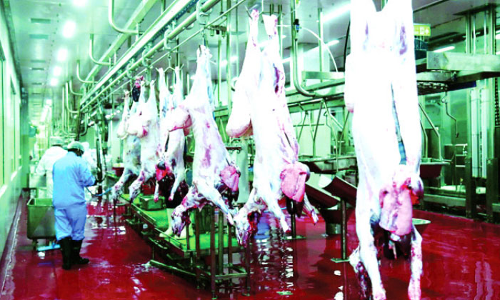 പ്രാ​ദേ​ശി​ക മാം​സ ഉ​ൽ​പാ​ദ​ന​ത്തി​ല്‍ വ​ര്‍ധ​ന ല​ക്ഷ്യ​മി​ട്ട് വി​ദാം