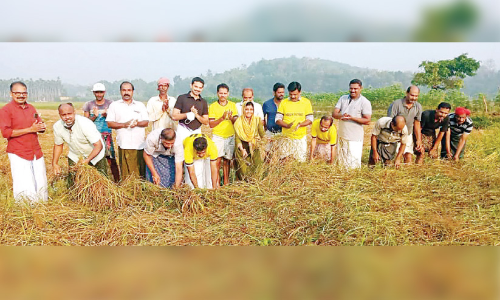 ആറിനം പുതിയ നെൽവിത്തിനങ്ങൾ പരീക്ഷിച്ചു വിജയിച്ച്​ ന്യൂജൻ കൂട്ടായ്മ