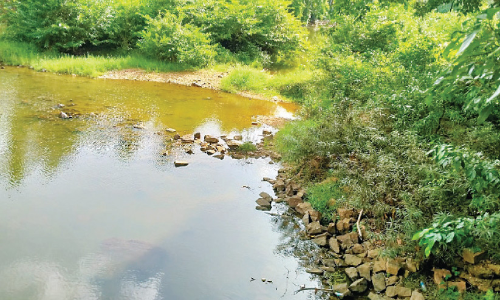 വിഷ്ണുമംഗലം ബണ്ടി​‍െൻറ ഷട്ടർ താഴ്ത്തൽ; അനുരഞ്ജന ശ്രമം തുടങ്ങി