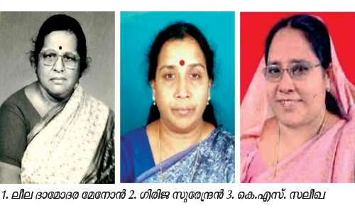 women MLAs from palakkad district