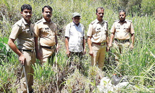 തോ​ട്ടാ​മൂ​ല​യി​ൽ​നി​ന്ന്​ വാ​റ്റു​ചാ​രാ​യം പി​ടി​കൂ​ടി