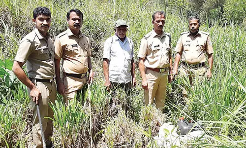 തോ​ട്ടാ​മൂ​ല​യി​ൽ​നി​ന്ന്​ വാ​റ്റു​ചാ​രാ​യം പി​ടി​കൂ​ടി