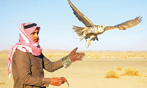 ക​രു​ത​ലി​‍െൻറ ആ​കാ​ശ​ത്തേ​ക്ക് ചി​റ​കു​വി​ട​ർ​ത്തി ഫാ​ൽ​ക്ക​ണു​ക​ൾ