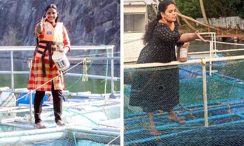 മത്സ്യമേഖലയിൽ വിജയകഥയുമായി രാജിയും സ്മിജയും