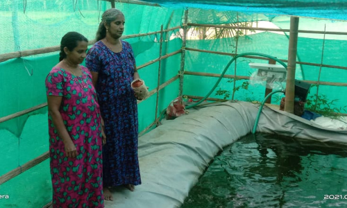 മണ്ണിൽ പൊരുതി അതിജീവിച്ചവർ