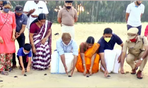 കടലാമക്കുഞ്ഞുങ്ങൾ കടലിലേക്ക്; യാ​ത്ര​യ​പ്പ്​ നൽകി നാട്​