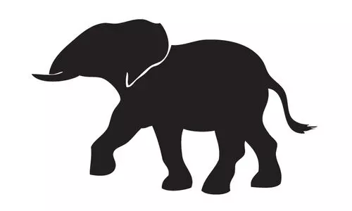 കാട്ടാന പ്രതിരോധം; പാല്‍മിറ പദ്ധതി പരാജയം