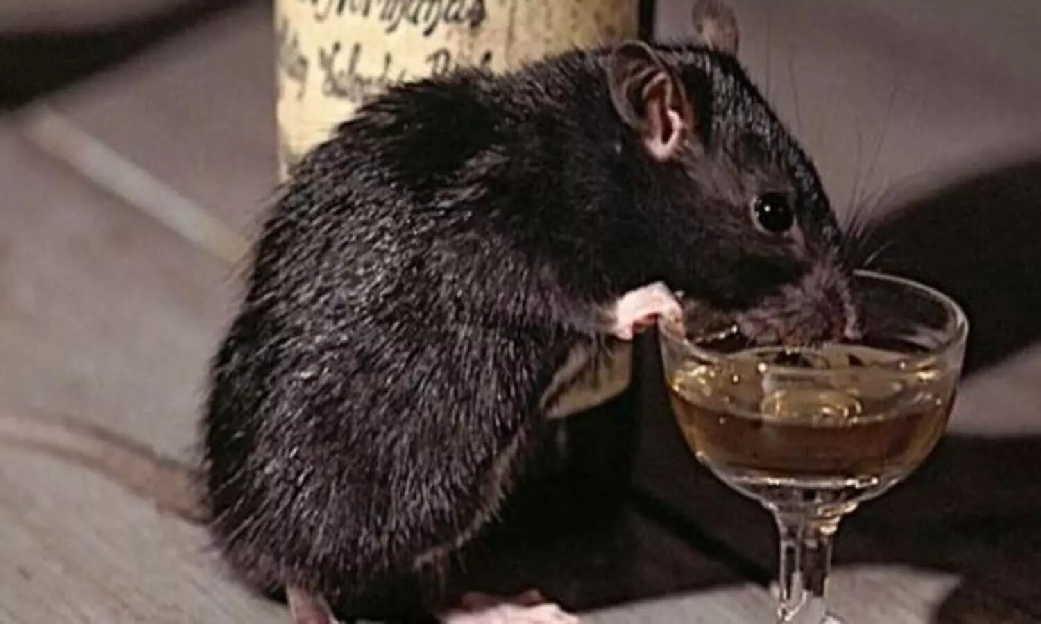 Case of missing booze! 29,000 litres of liquor