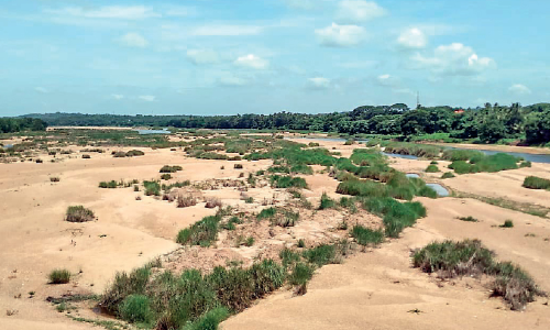 bharathappuzha at ottappalam